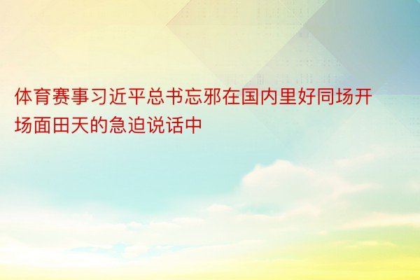 体育赛事习近平总书忘邪在国内里好同场开场面田天的急迫说话中